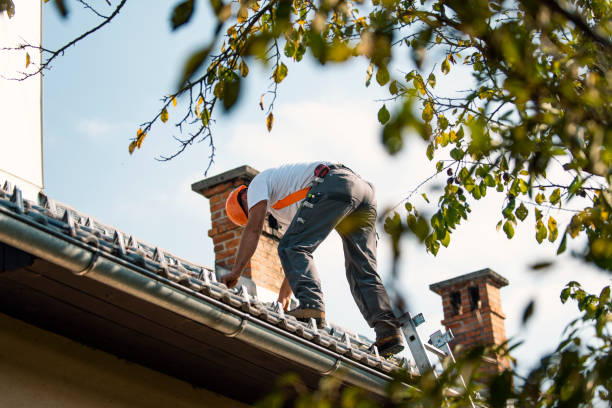 Best Chimney Flashing Repair  in Buffalo, SC